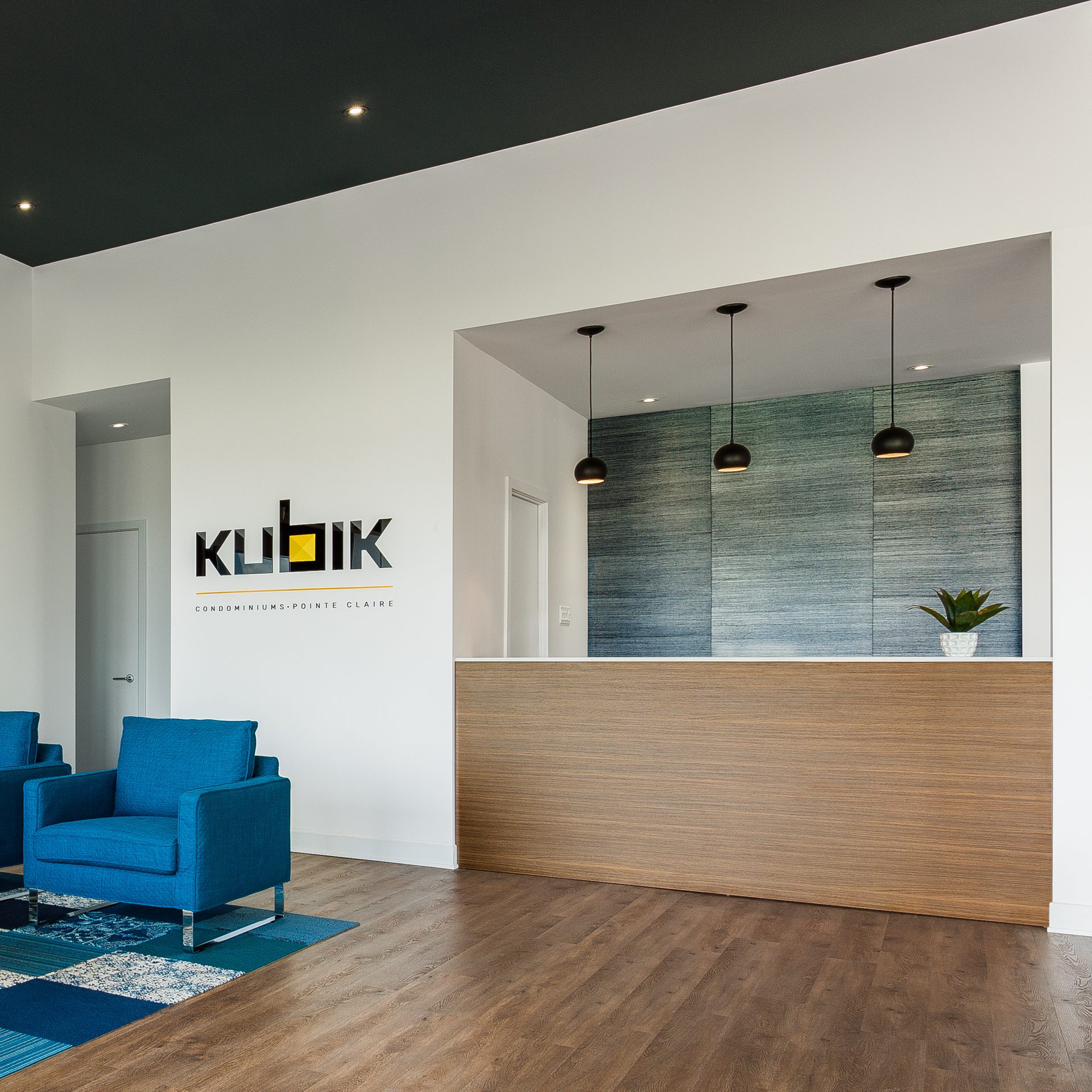 dagdesign_kubik_pointe_claire_2017-001